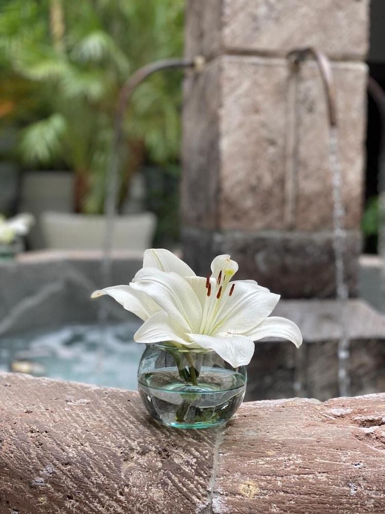 Hotel Boutique Hacienda Guadalupe San Miguel de Allende Eksteriør bilde